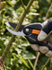 Набір (Fiskars SingleStep) Гілкоріз площинний SL28 + секатор площинний P26 (1057760) 1057760 фото 8