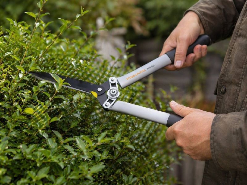 Набір Fiskars: Ножиці для кущів White HS53 1026931 + Гілкоріз білий White L32 1026930 1026931102693 фото