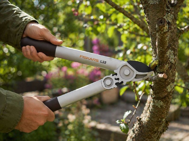 Набір Fiskars: Ножиці для кущів White HS53 1026931 + Гілкоріз білий White L32 1026930 1026931102693 фото